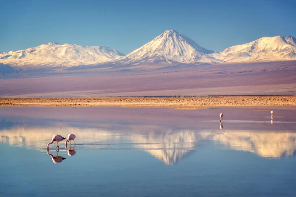 How to Visit Atacama Desert: Best Tours and Ticket Prices